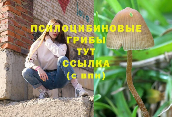 мет Нефтегорск