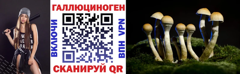MEGA ONION  Питкяранта  Галлюциногенные грибы GOLDEN TEACHER  наркошоп 